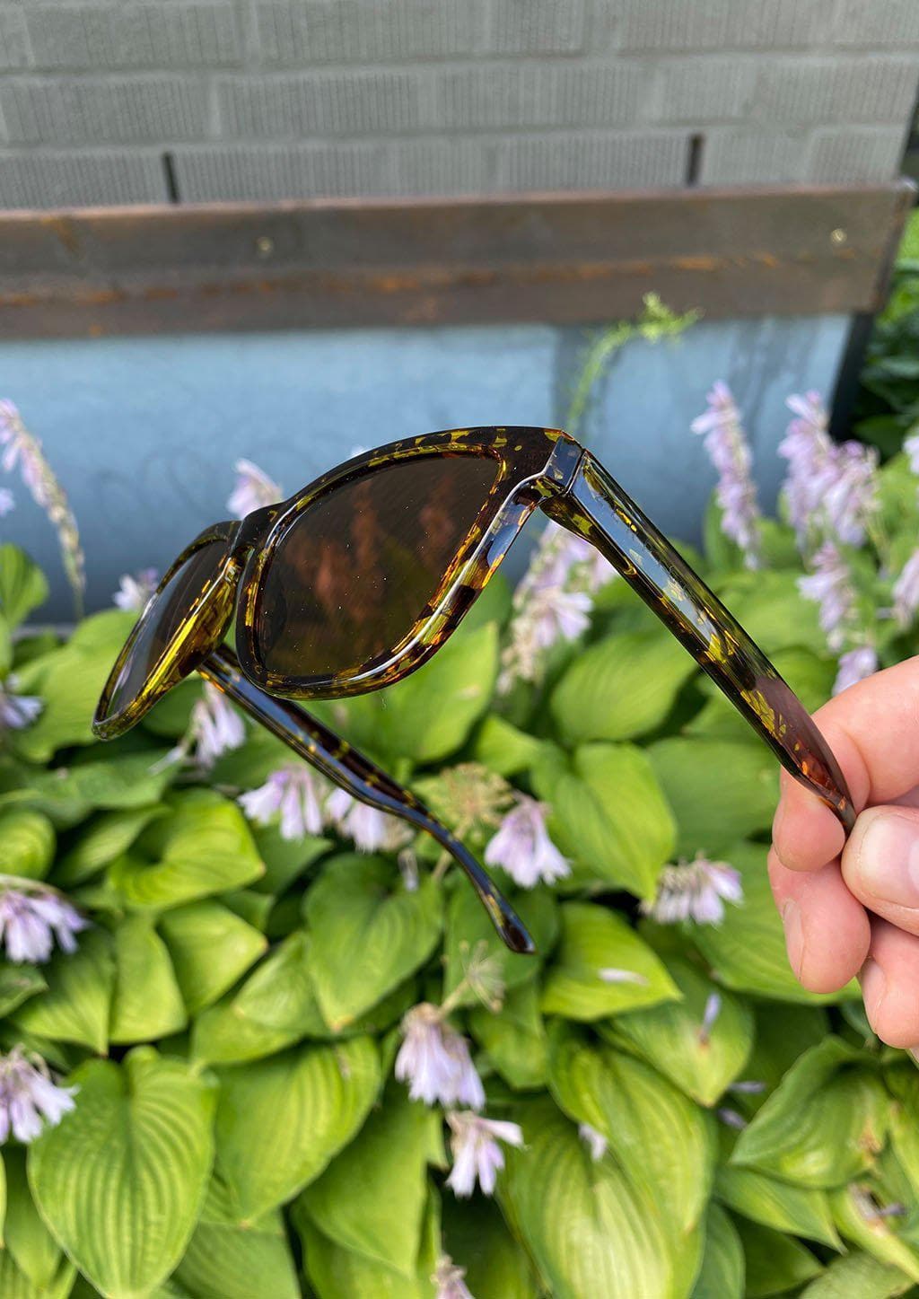 mood wayfarer v2 chic mood wayfarer v2 chic
